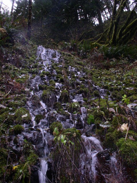 Waukeena Mult Falls 11.26.05 078 